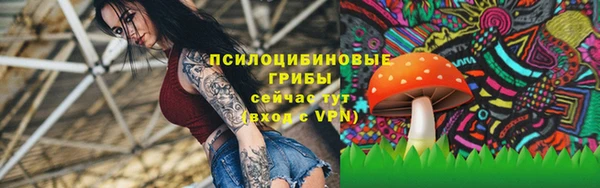 синтетический гашиш Козельск