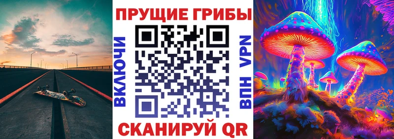 Купить закладки  Барыш  Псилоцибиновые грибы мухоморы 